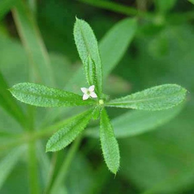 Cleavers