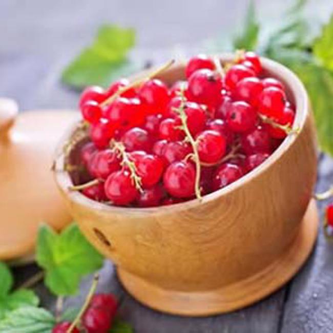 Currants