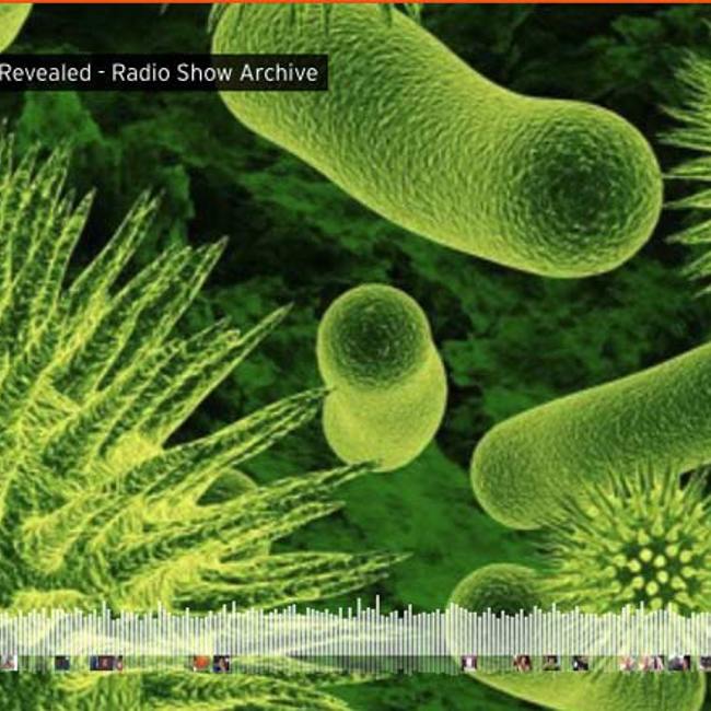 Epstein Barr Virus Revealed