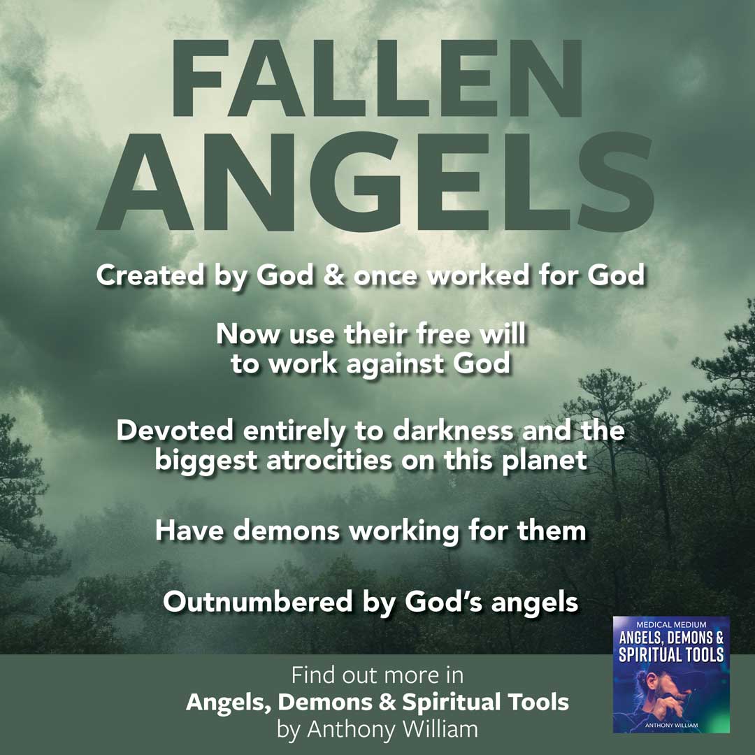 Fallen Angels