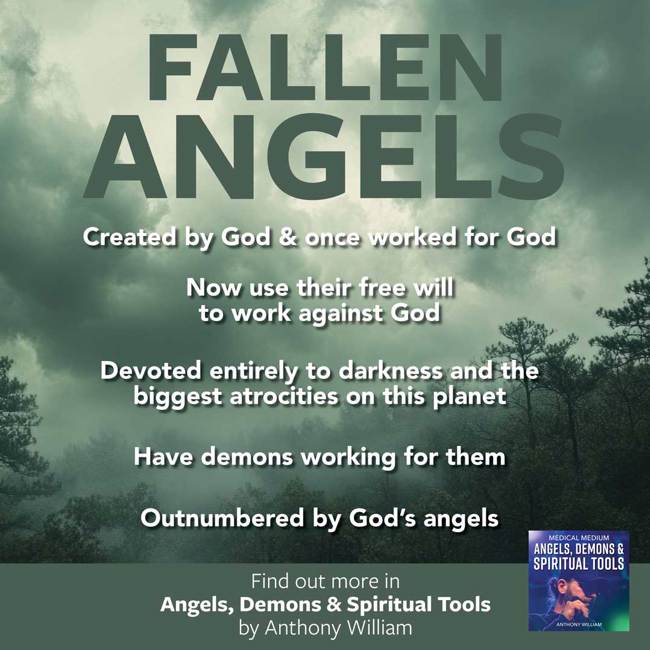 Fallen Angels