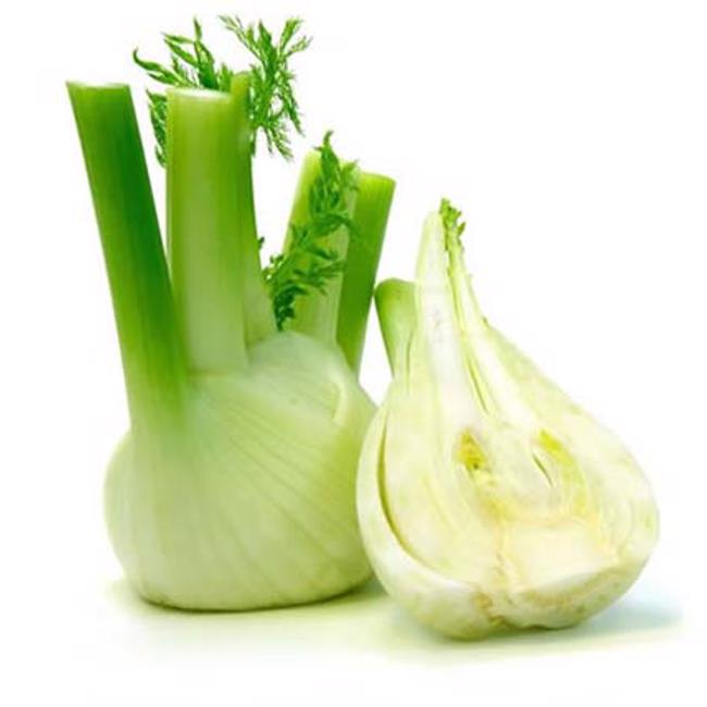 Fennel