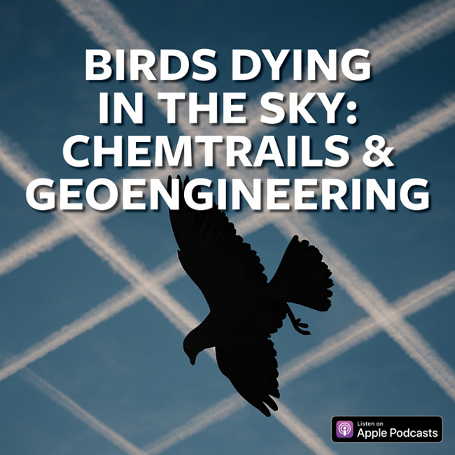 Birds Dying In The Sky: Chemtrails & Geoengineering
