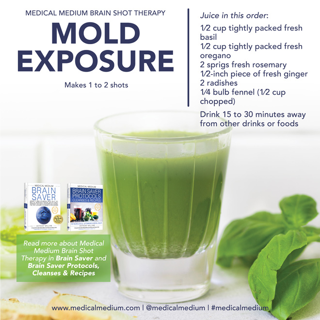 Mold Exposure