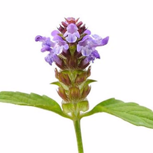 Self Heal