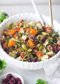 Warm Quinoa Brussels Sprouts Salad