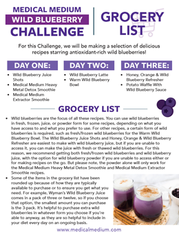 WILD BLUEBERRY Challenge