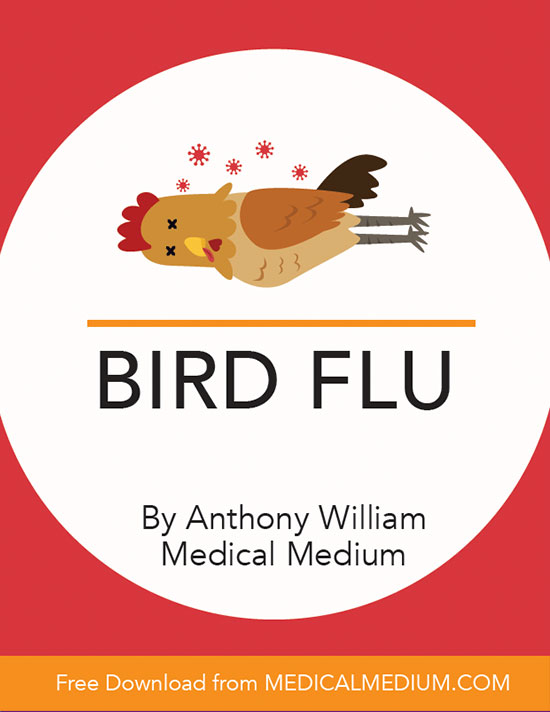 Bird Flu