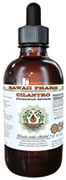 Cilantro Tincture